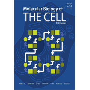 Alberts  Molecular Biology of the Cell 6e